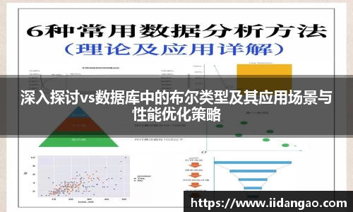 深入探讨vs数据库中的布尔类型及其应用场景与性能优化策略